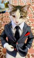 Gatoman