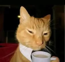 No soy otaku solo leo manhwas